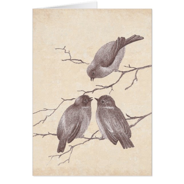 A Little Bird Told Me: Winter Birds Antique Sketch (Front)