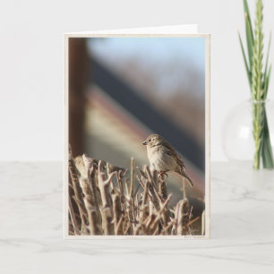 A Little Birdie Blank Greeting Card