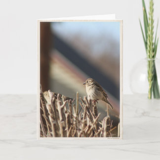 A Little Birdie Blank Greeting Card