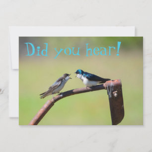 A little birdie told me - customisable invitation