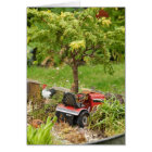 A Little Bit Country, Blank Card