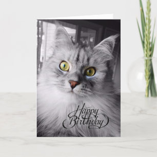 A Little Bit of Magic Birthday Card