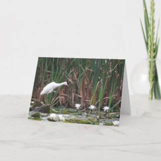 A Little Blue Heron Fishing Card