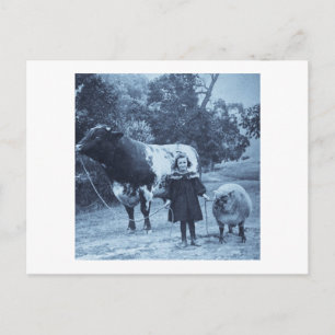 A Little Child Shall Lead Them Cyanotype - Vintage Postcard