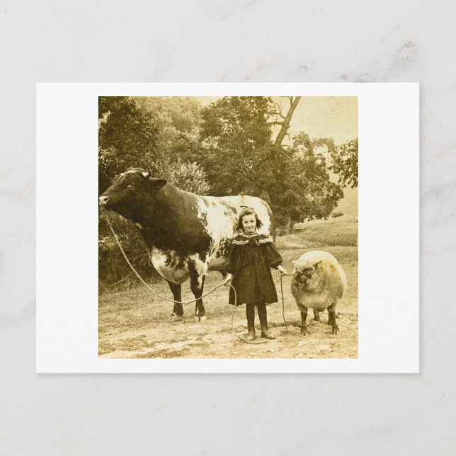 A Little Child Shall Lead Them Postcard (Front)