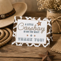 A Little Cowboy is on the Way Baby Shower