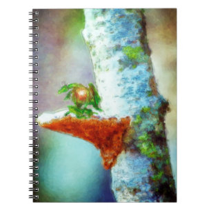 A Little Dragon Sleeps Notebook