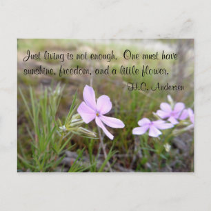 A Little Flower Postcard