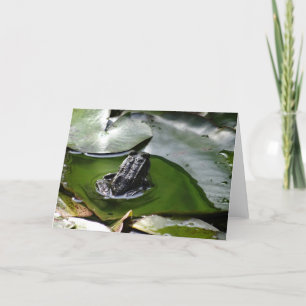 a Little Green Frog Greeting Card