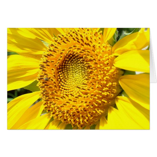 A Little Honey Bee Card