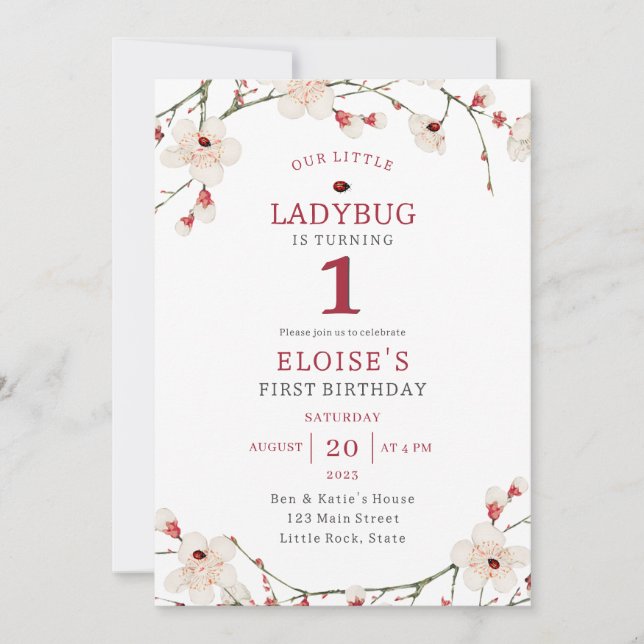 A Little Ladybug Baby Girl First Birthday Invitation (Front)