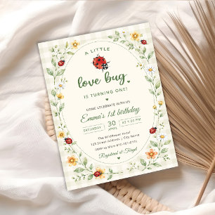 A Little Love Bug Ladybug 1st Birthday Invitation