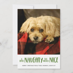 A Little Naughty   Green    Vertical Photo Holiday Card