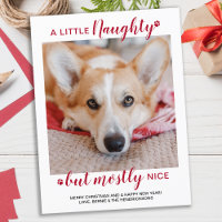 A Little Naughty Personalised Dog Pet Photo Holida