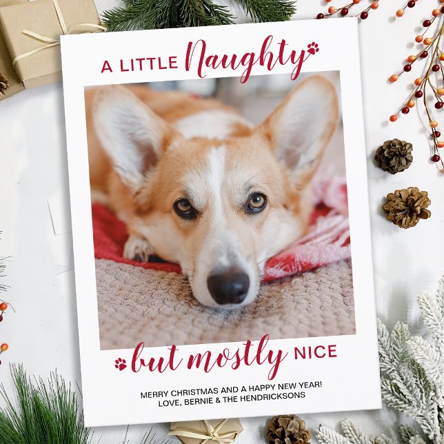 A Little Naughty Personalised Dog Pet Photo Holiday Postcard (Creator Uploaded)