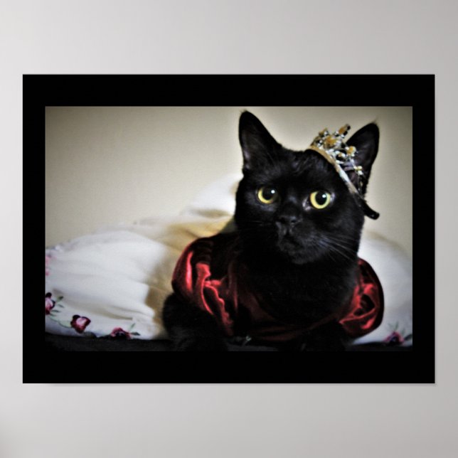 A Little Princess  Poster (Front)