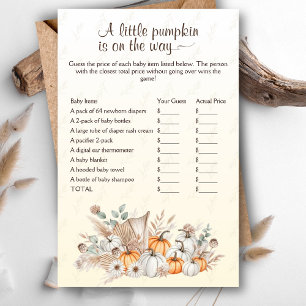 A Little Pumpkin Boho Baby Shower Price is Right