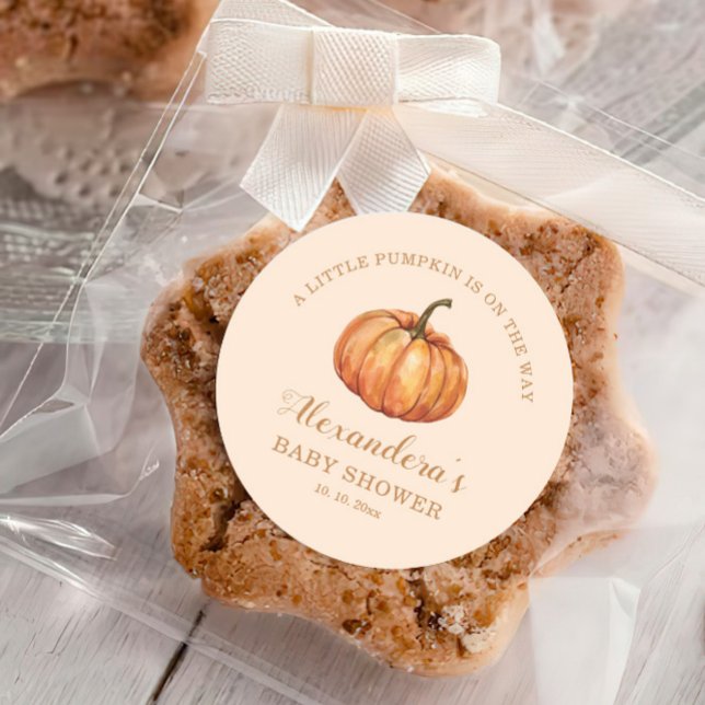 A Little Pumpkin Fall Baby Shower Favour Classic Round Sticker (Creator Uploaded)