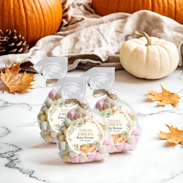 A Little Pumpkin is on the Way - Baby Shower  Classic Round Sticker (Creator Uploaded)