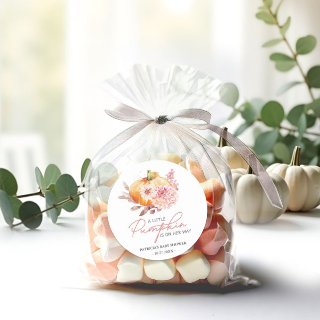 A Little Pumpkin Is On The Way Baby Shower Classic Round Sticker (Creator Uploaded)