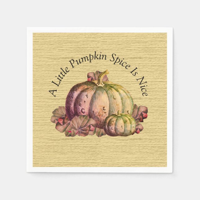 A Little Pumpkin Spice is Nice"  Fall  Colour deco Napkin (Front)