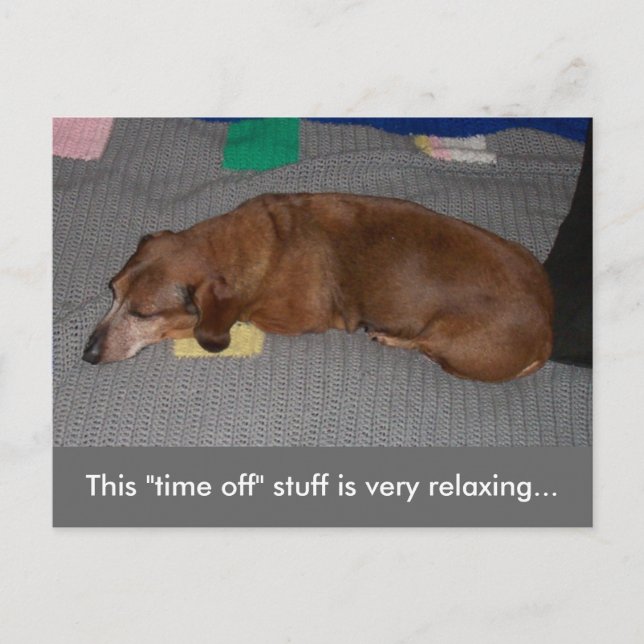 A Little R & R - Dog Snooze Postcard (Front)