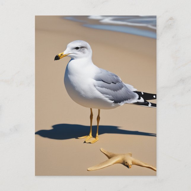 A little seagull on a pretty beach surrounded by g postcard (Front)