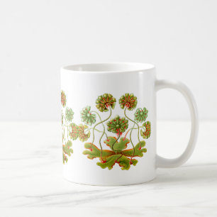 A Liverwort Coffee Mug
