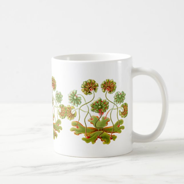 A Liverwort Coffee Mug (Right)