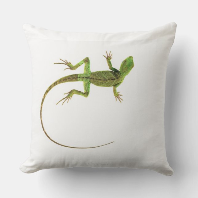 A lizard on pure white ground cushion (Front)