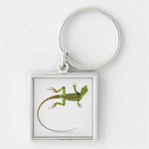 A lizard on pure white ground key ring