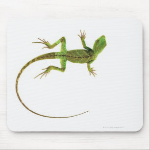 A lizard on pure white ground mouse pad