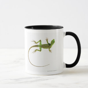 A lizard on pure white ground mug