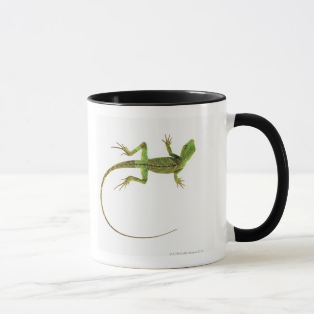 A lizard on pure white ground mug (Right)