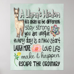 A Llama's Wisdom Motivational Quotes - 16x20 Poster