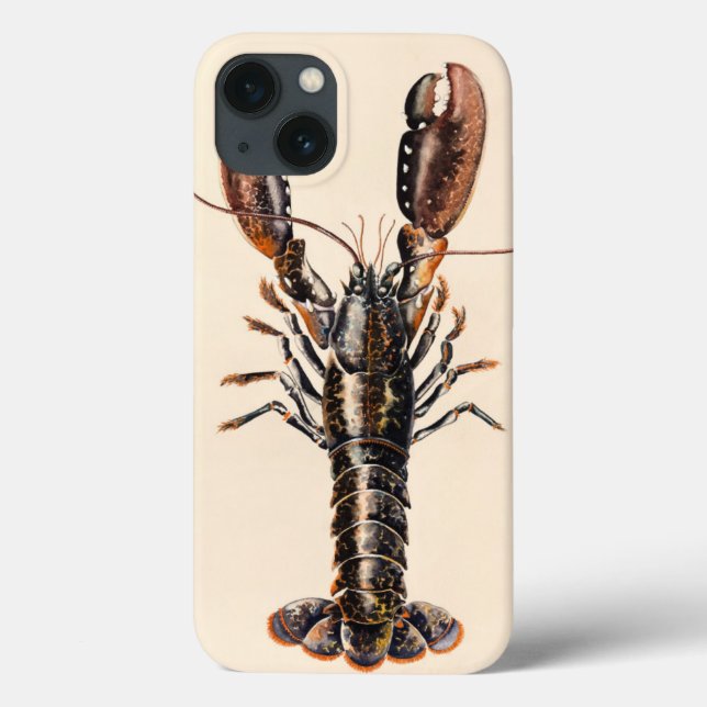 A Lobster from Solva Case-Mate iPhone Case (Back)