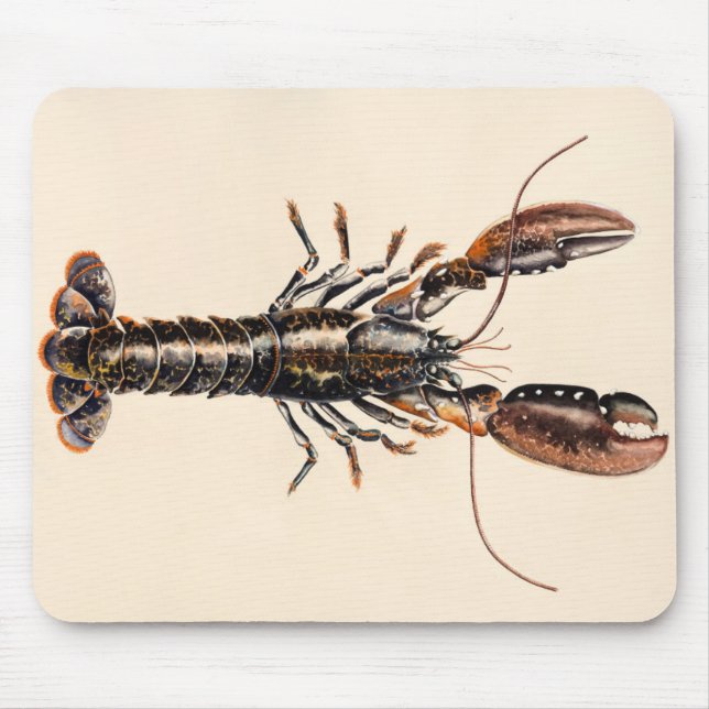 A Lobster from Solva Mouse Pad (Front)