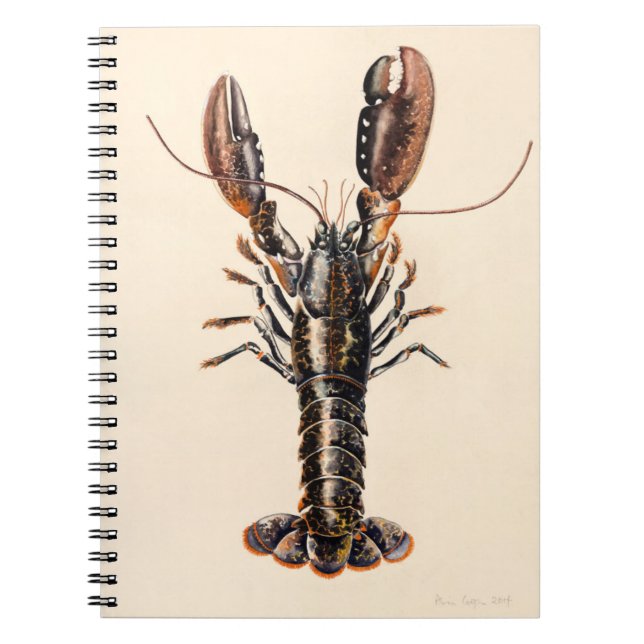 A Lobster from Solva Notebook (Front)