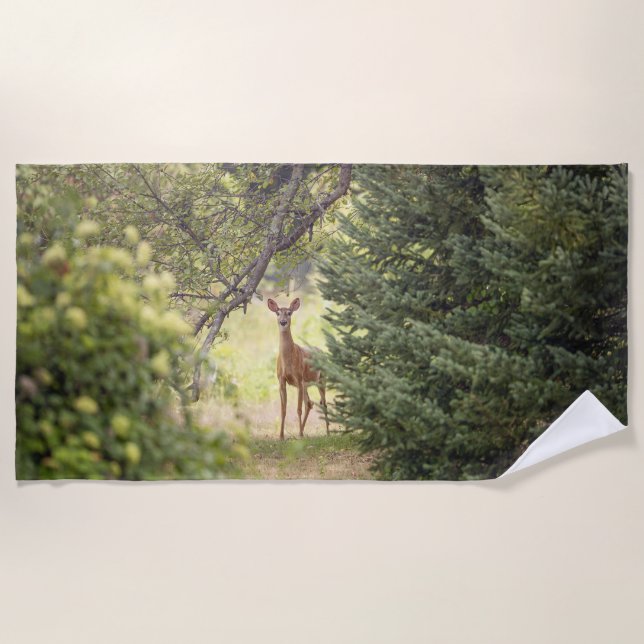 A Lone Deer  Beach Towel (Front)