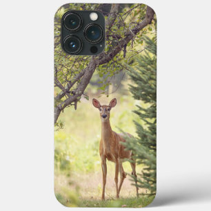 A Lone Deer iPhone 13 Pro Max Case