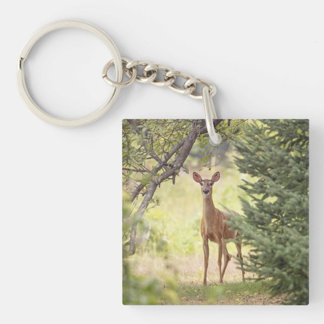 A Lone Deer  Key Ring (Front)