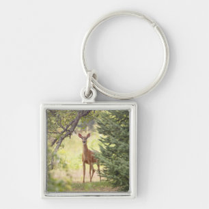 A Lone Deer  Key Ring