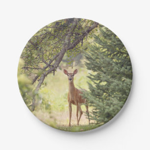 A Lone Deer  Paper Plate