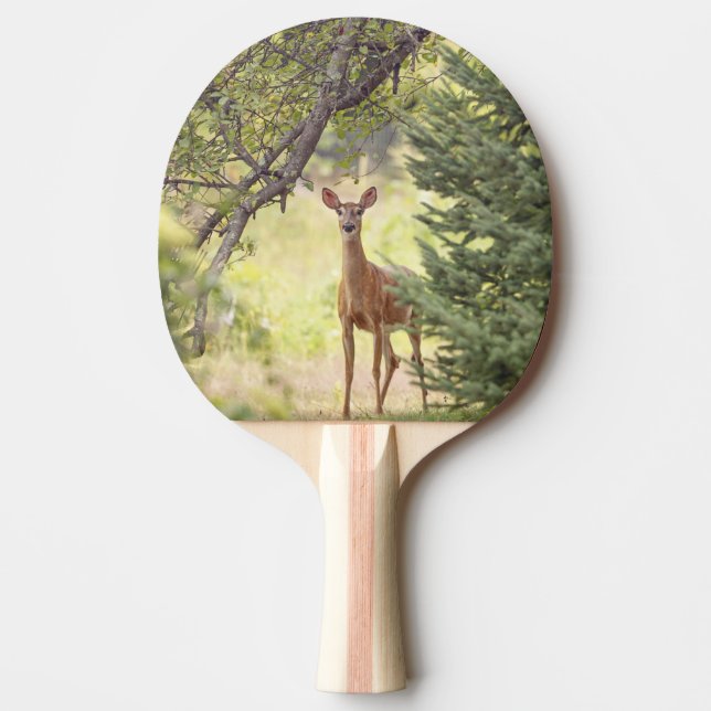 A Lone Deer  Ping Pong Paddle (Front)