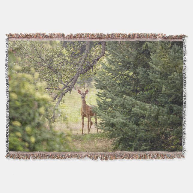 A Lone Deer  Throw Blanket (Front)