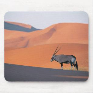 A lone oryx antelope. mouse pad