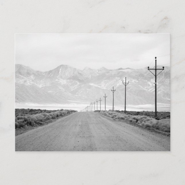 A Lone Road and Power Lines | San Juan Mountains Postcard (Front)