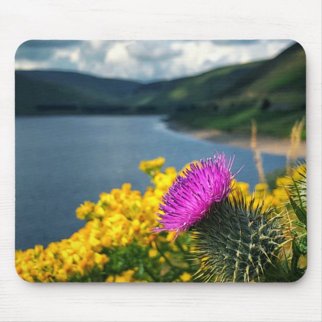 A lone thistle overlooking Megget Reservoir Mouse Mouse Pad (Front)