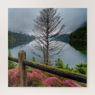 A lone tree jigsaw puzzle