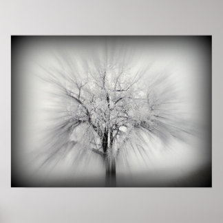 A lone tree on the ND prairie Poster